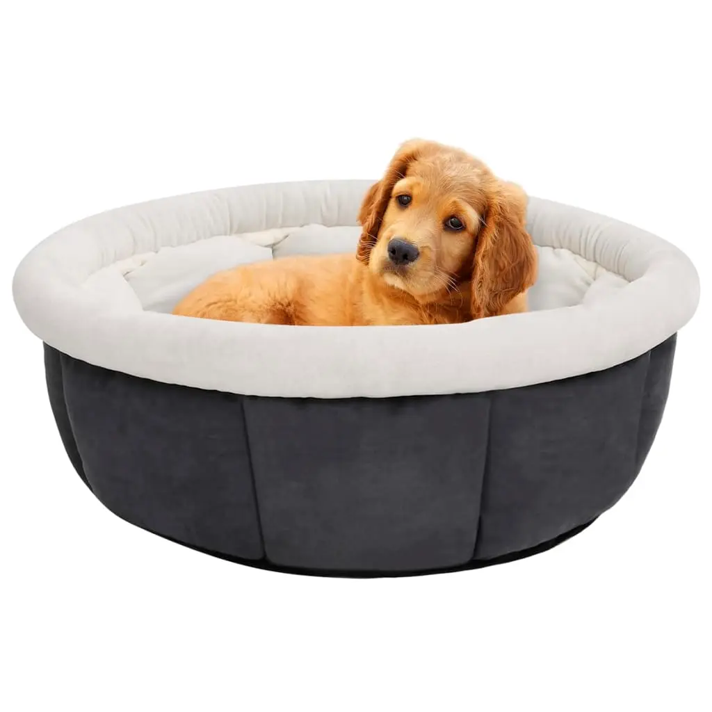 Lit pour chien 50x50x22 cm Gris vidaXL 171176