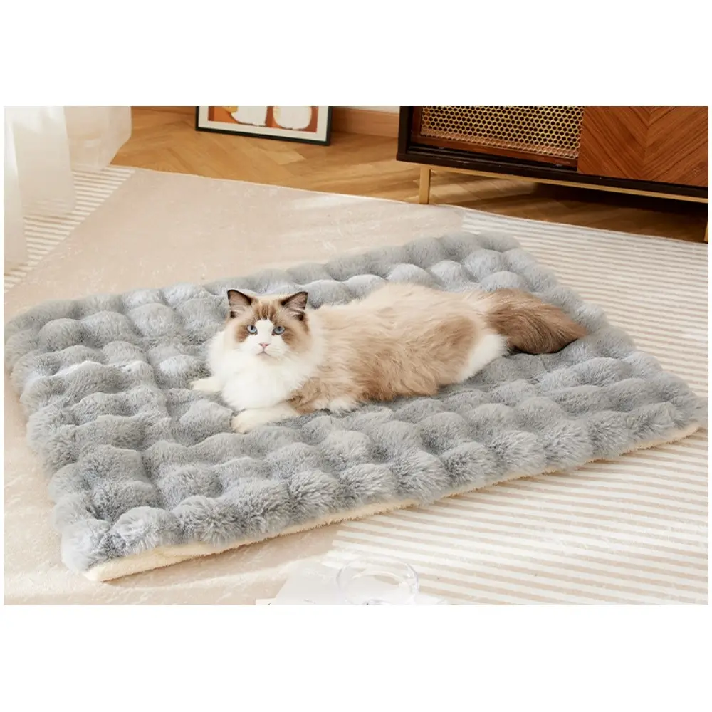 Lit coussin moelleux pour chat et chat gris moderne élégant – Lytech