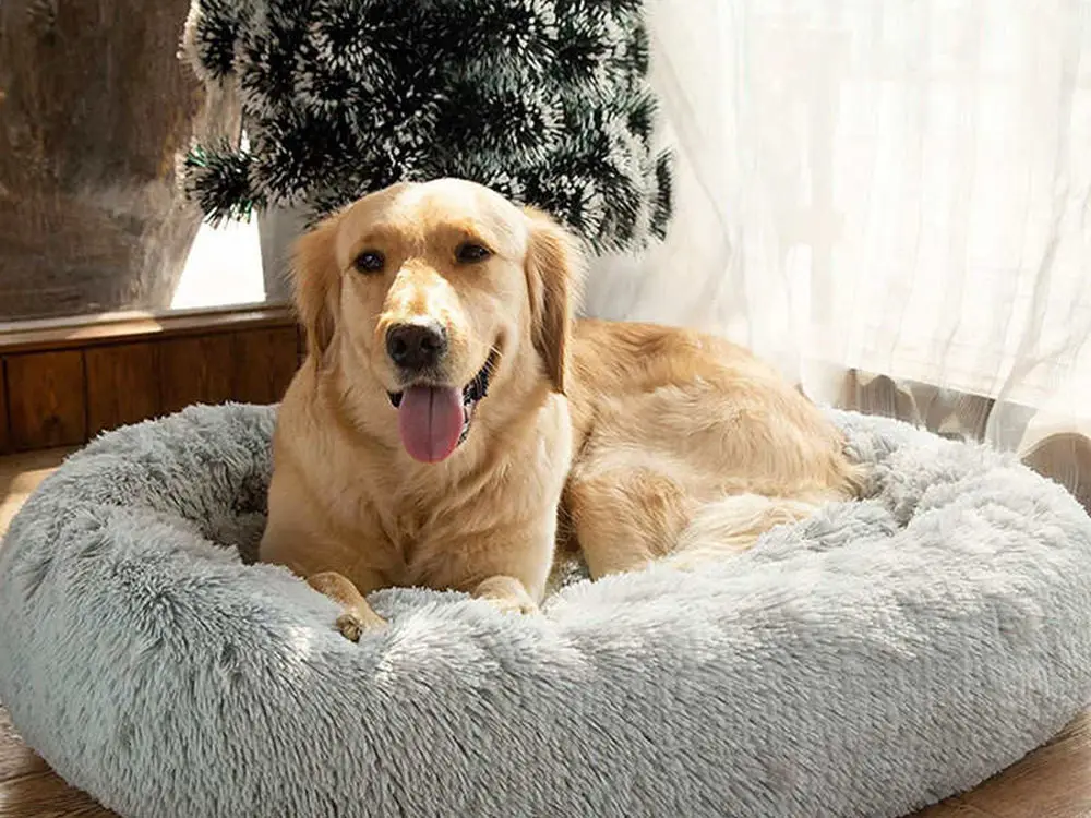 Lit en peluche pour chien doux 100 cm gris clair