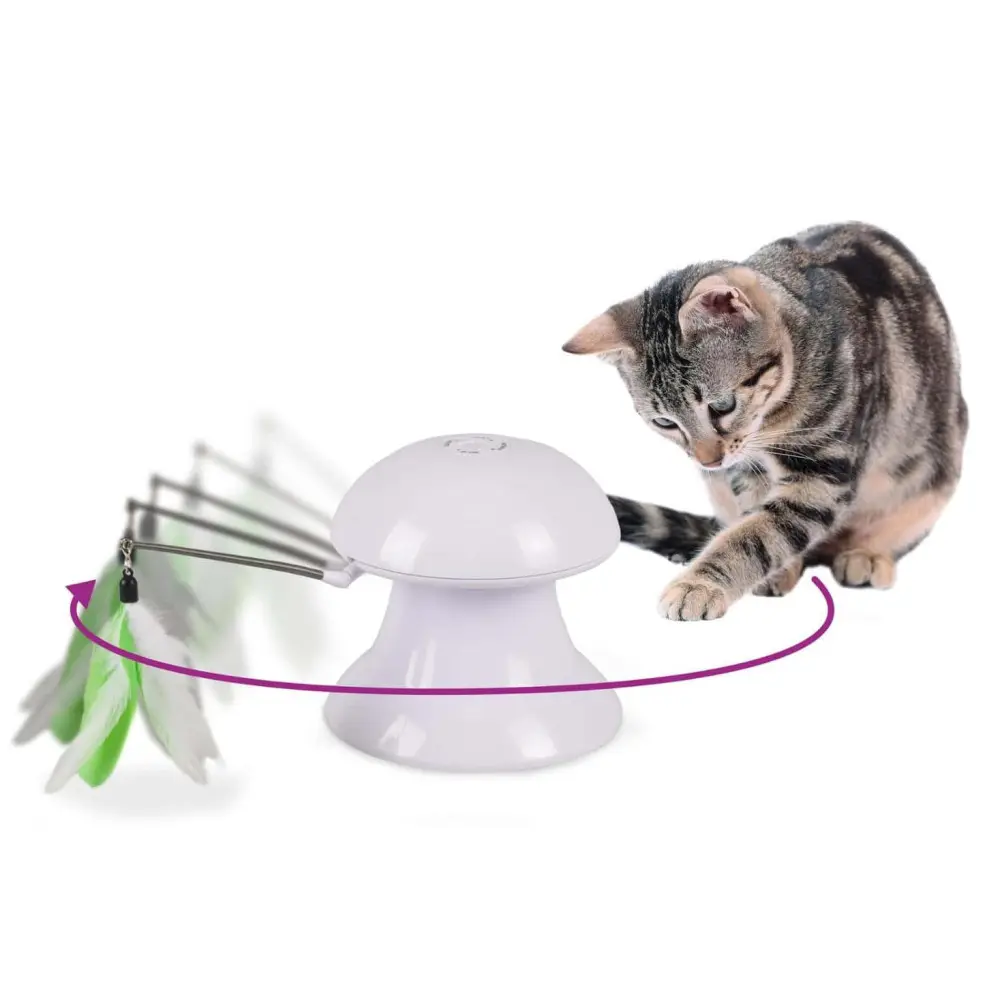 jeux 2 en 1 avec plume et pointeur lumineux pour chat.
