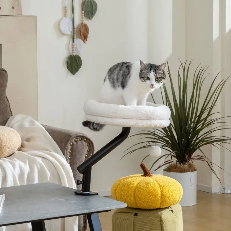 Lit Chat Bureau Pivotant 360° Hamac Suspendu Réglable Doux Blanc Crème – ComfortXL Outdoor Living