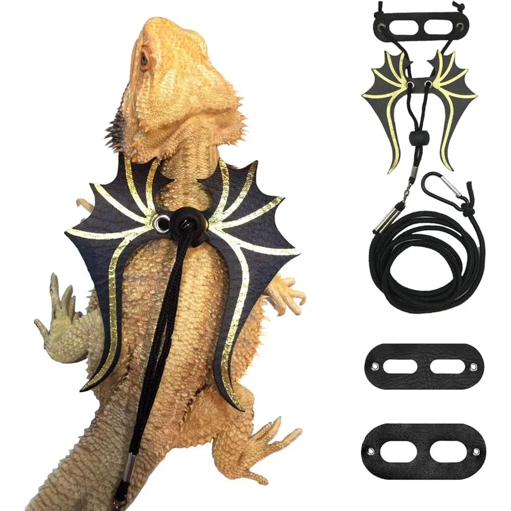 Lot 3 Harnais pour lézard barbu – MCBOSON