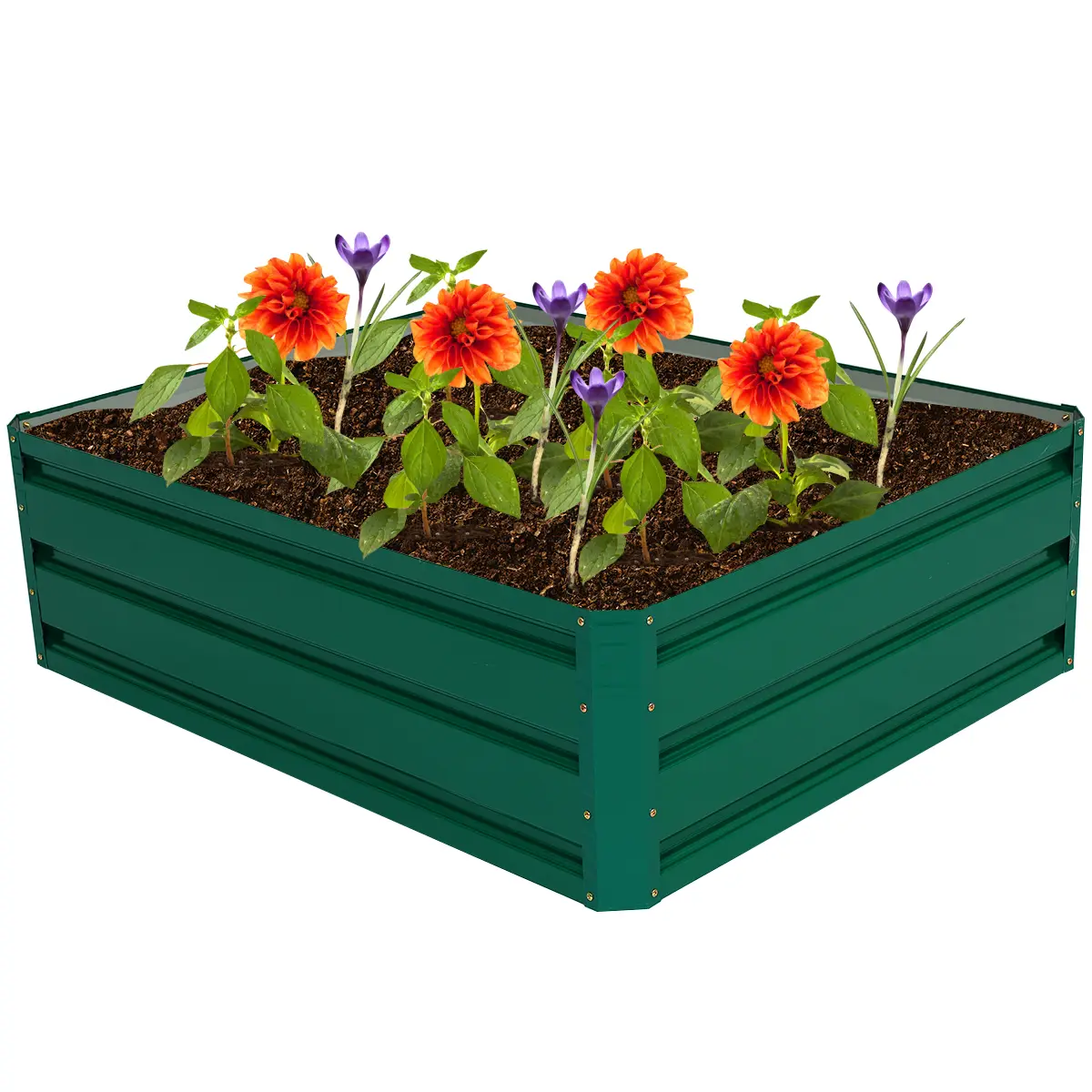 Lit de Jardin Surélevé en Acier, Jardinière Surélevée Extérieur Cadre en Métal à 4 Panneaux, pour Fleurs Légumes Herbes Plantes, 100 x 80 x 30CM, Vert