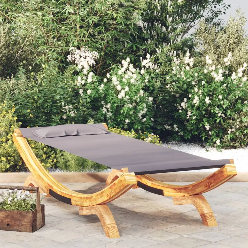 Lit de repos extérieur 100×188,5×44 cm Bois courbé Anthracite vidaXL 313948