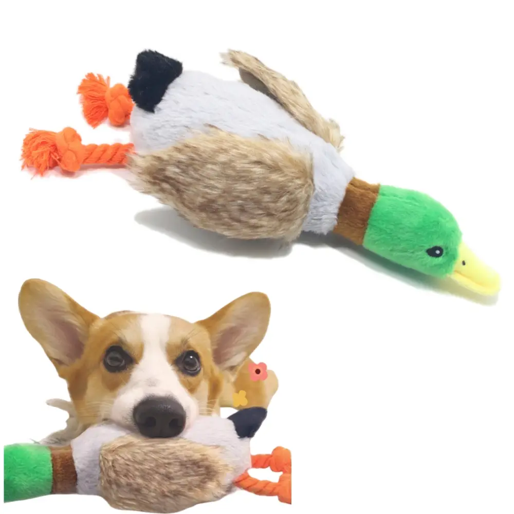 Jouet de chien en peluche grincement – IntiMeg
