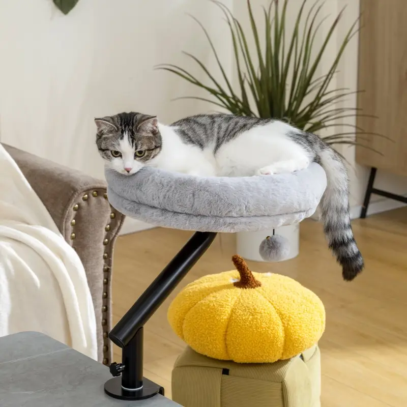 Lit Hamac Chat Bureau Gris Pivotant 360° Pince Table Hauteur Ajustable – ComfortXL Outdoor Living