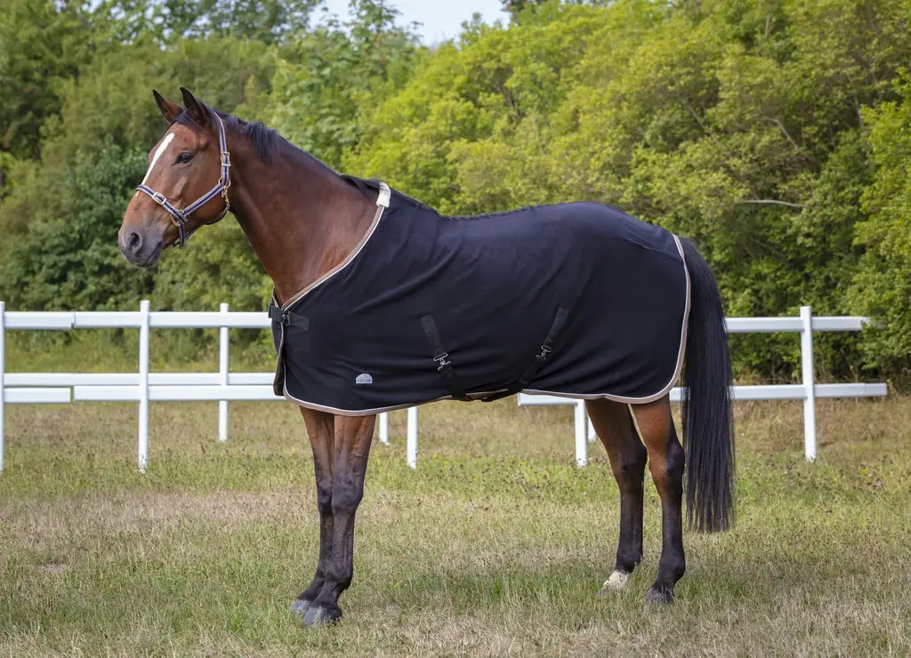 Licol polyfun bleu marine EQUITHEME pour cheval