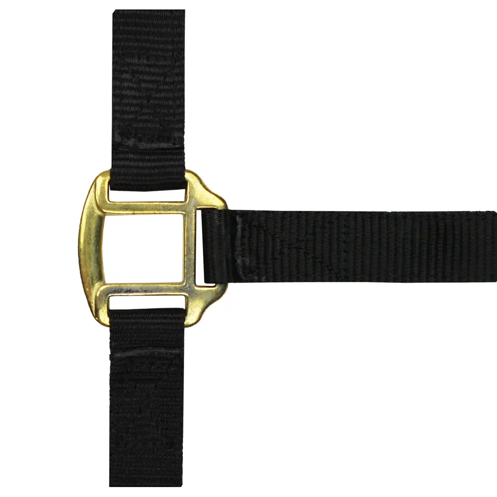 Licol nylon noir doublé cuir pour poney