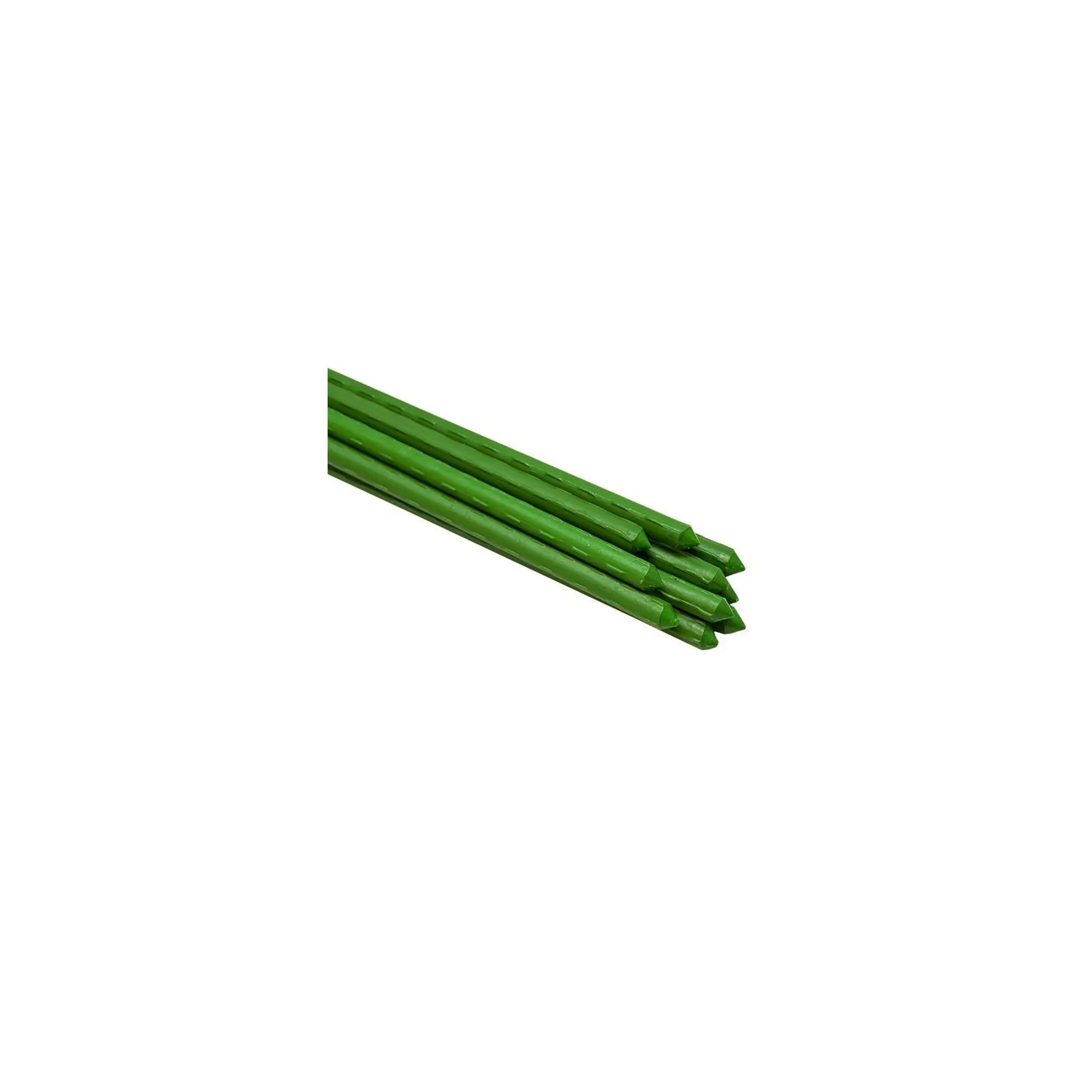 Lot de 10 tuteurs pour plantes et légumes – En fer – Hauteur : 150 cm