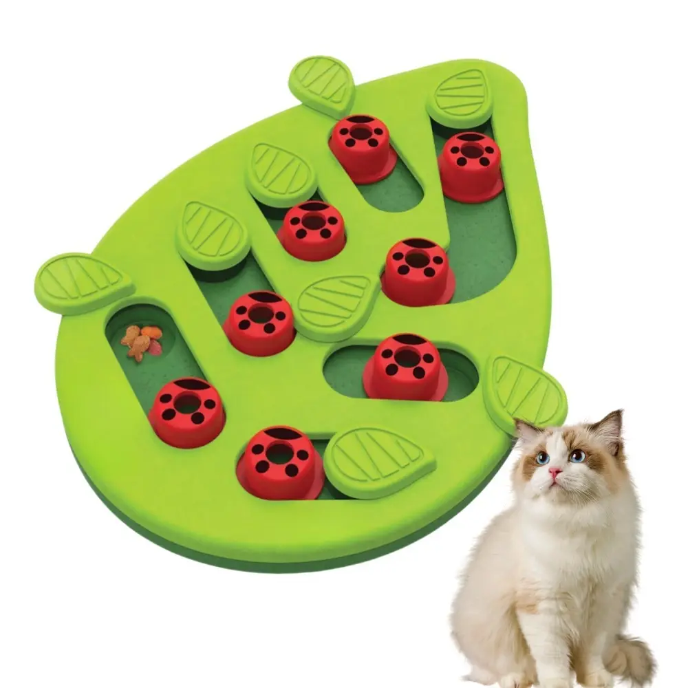 Jeu d’intelligence pour chat DtopbuyAge