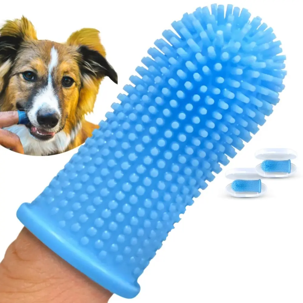 Lot de 2 brosses à dents pour chien IntiMeg