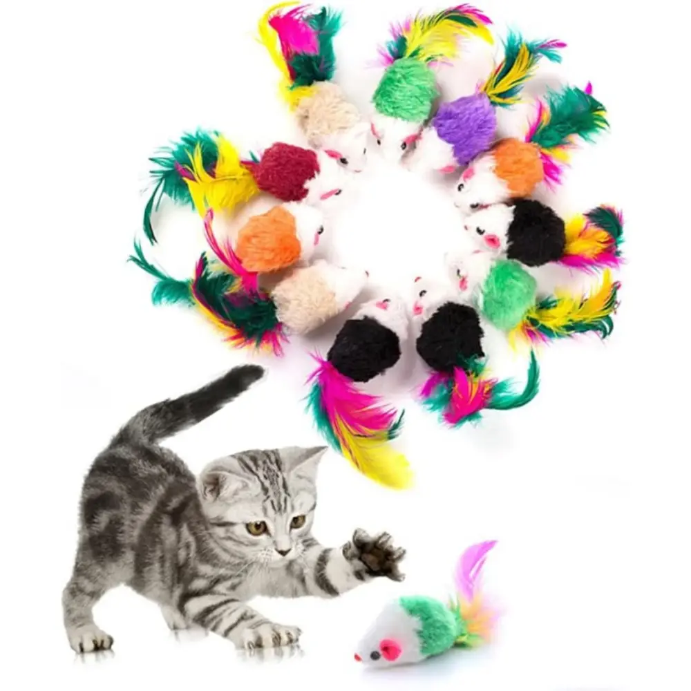 Lot de 10 peluches pour chat (couleurs aléatoires)