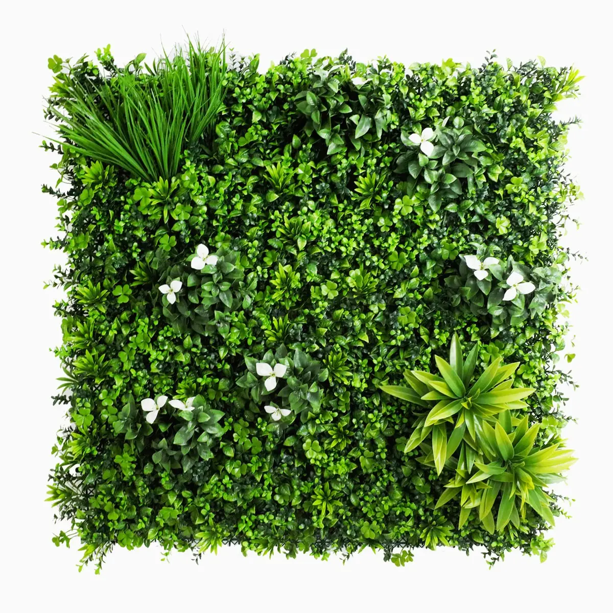 Liseron Mur Vegetal Artificiel plaque de 1mx1m MP