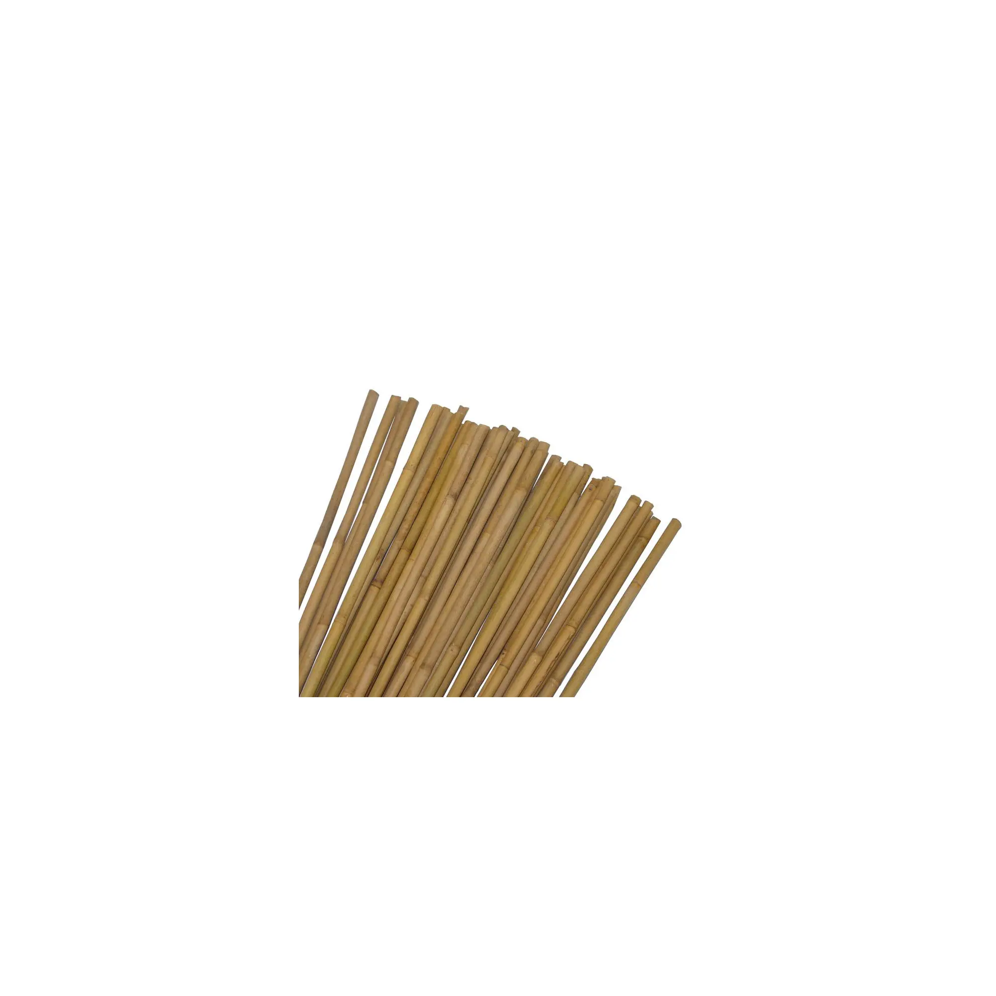 Lot de 10 tuteurs pour plantes et légumes – En bambou – Hauteur : 120 cm