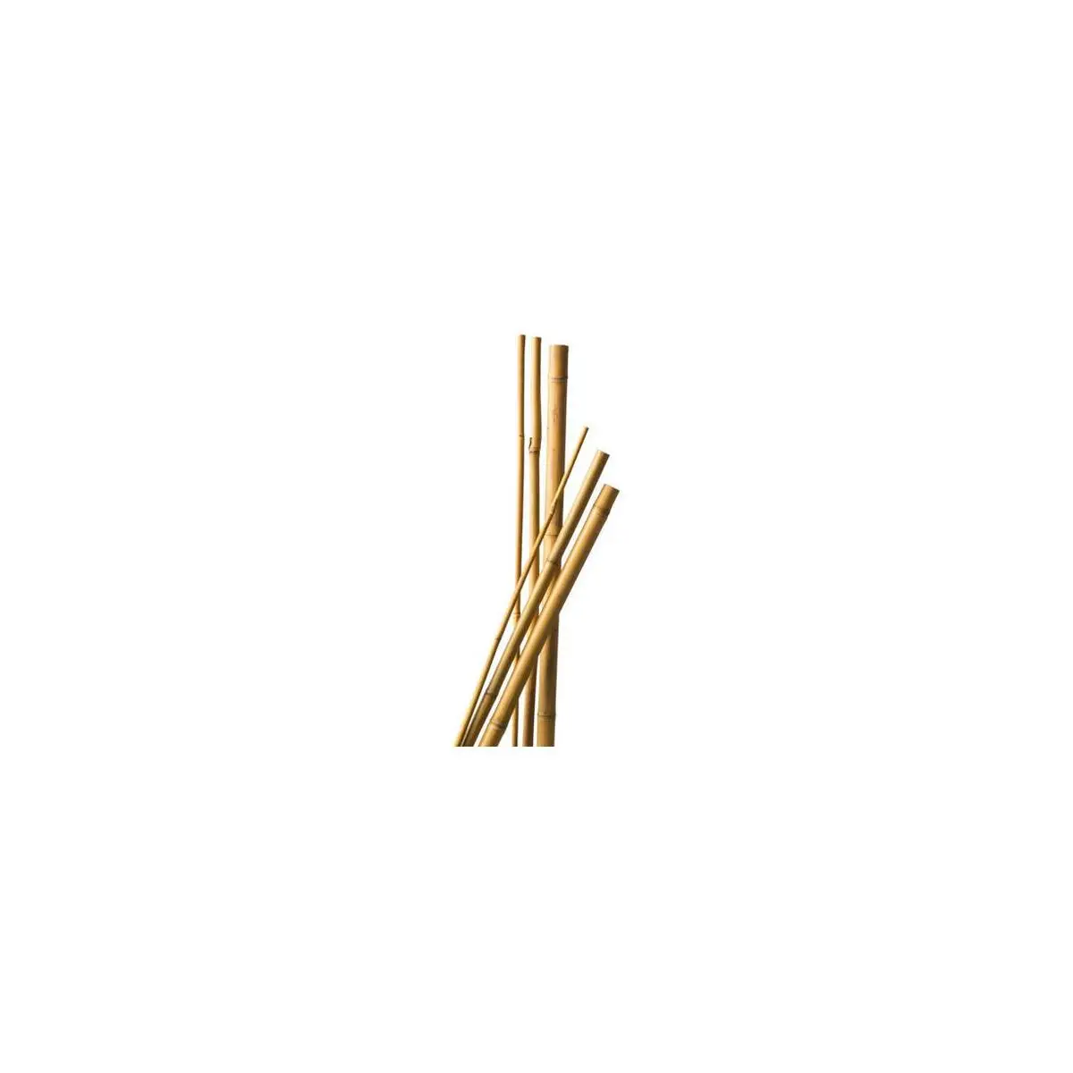 Lot de 10 Tuteurs Bambou 120 cm diam 6-8 mm