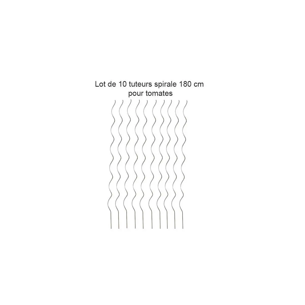 Lot de 10 Tuteurs spirale 180cm pour plants de tomates en acier galvanisé