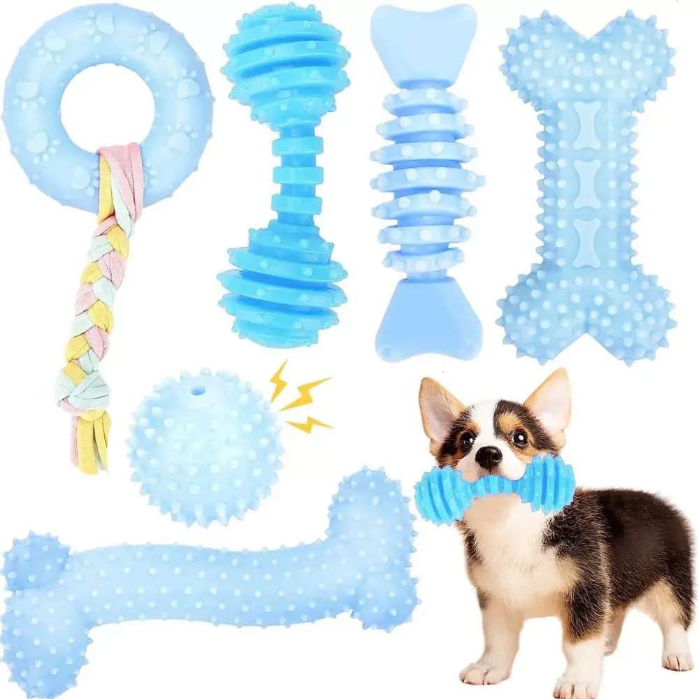 Jeu de 6 jouets pour petits chiens Bleu IntiMeg
