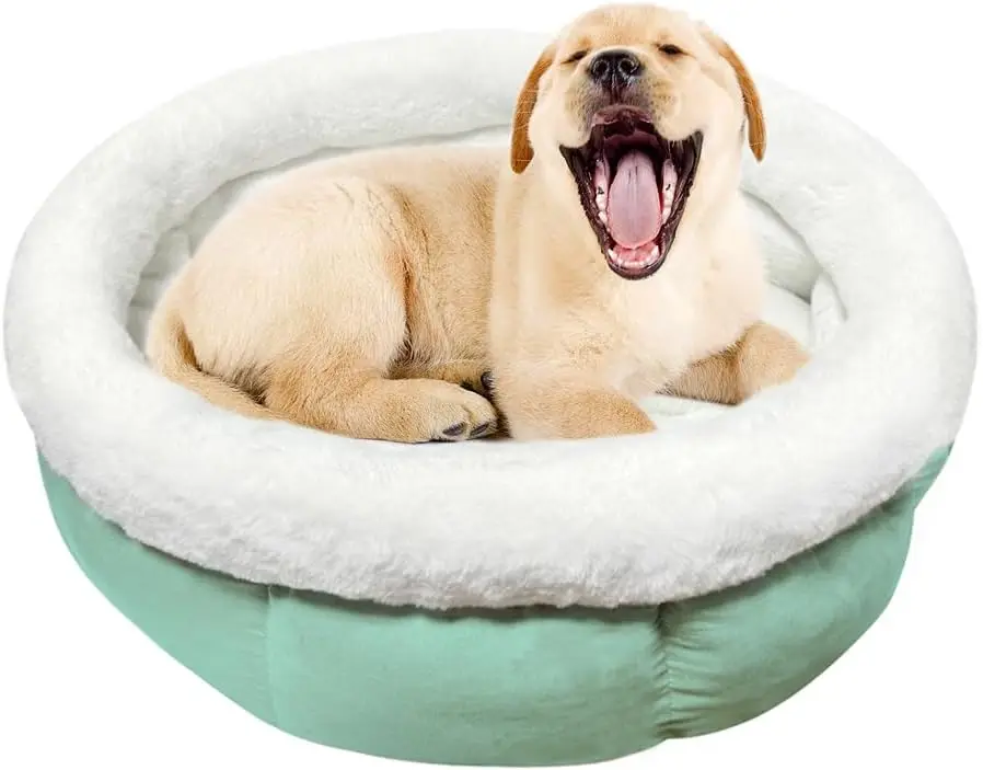 Lit Donut pour Chiens et Chats 50 x 50 x 20 cm vert clair