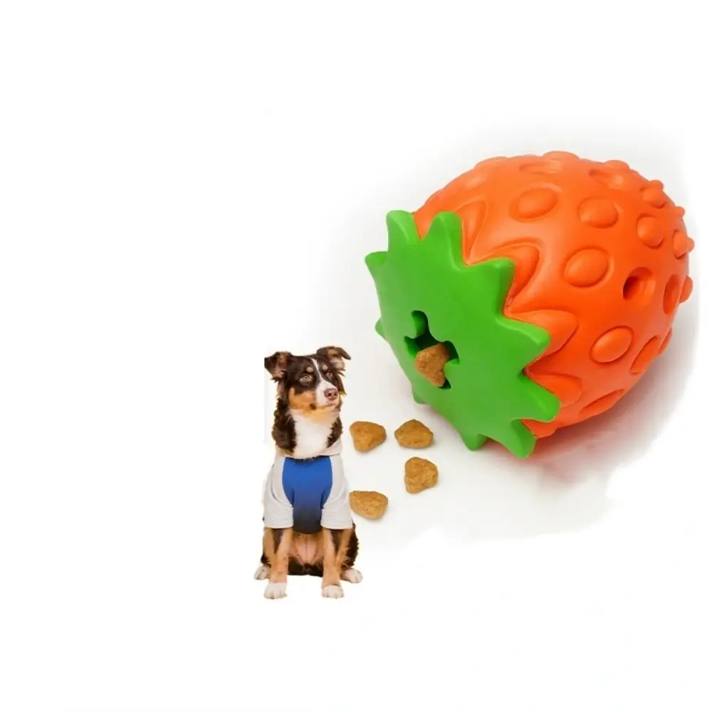 Jouet pour chien Nettoyage des dents Fraise IntiMeg