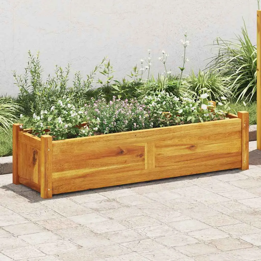 Lit surélevé de jardin Bois d’acacia 100x30x25 cm vidaXL 42566