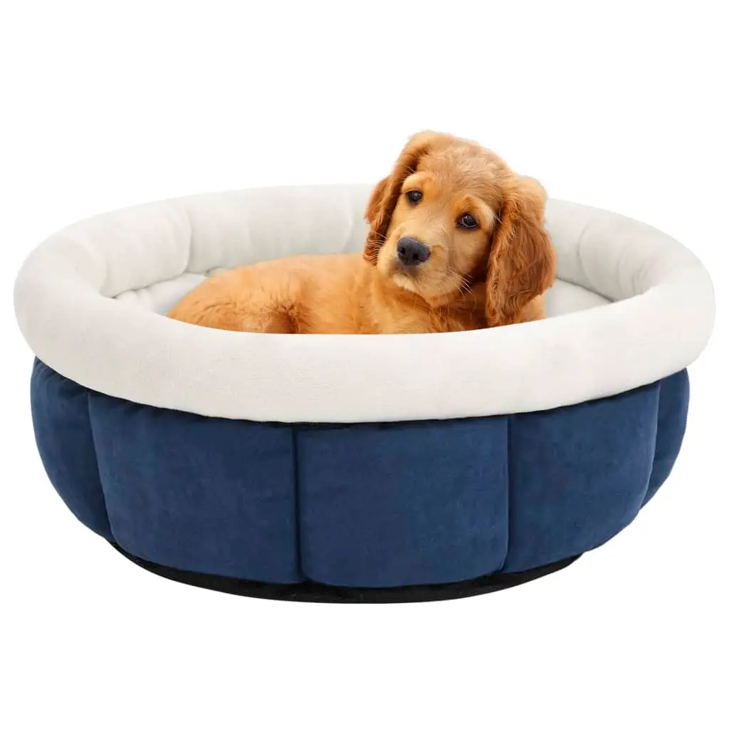 Lit pour chien 40x40x20 cm Bleu vidaXL 171183