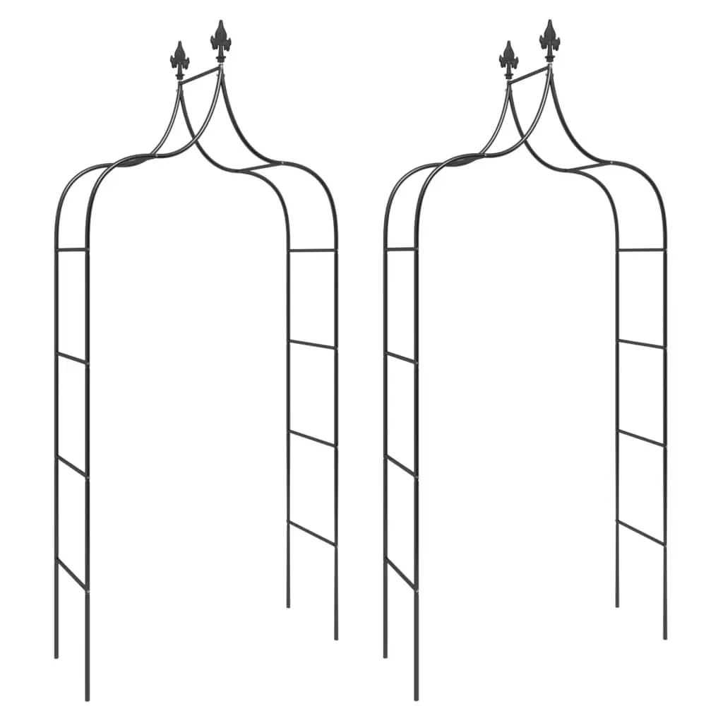 Lot de 2 Arches de jardin – Treillis de Jardin Noir 120x38x260 cm Acier