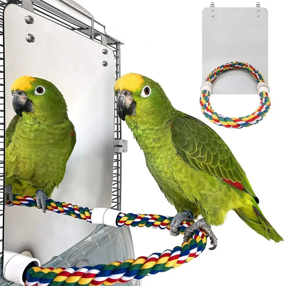 Jouet miroir pour oiseaux avec perchoir en corde